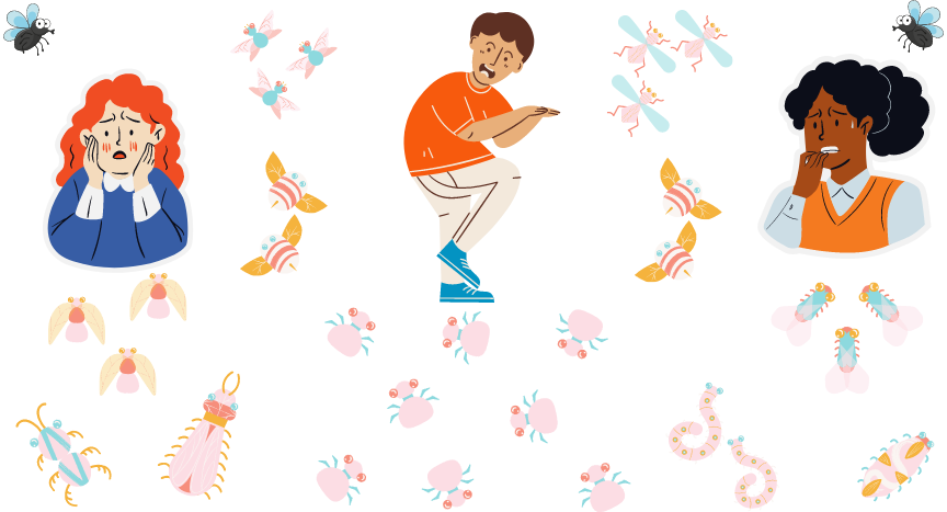 Insect Infestation